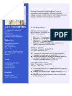 CV Template