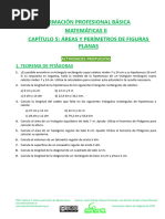 FPB2 Ejercicios 5 Areas