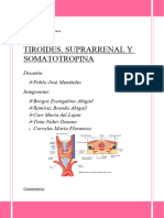 Anatomia Practico #11