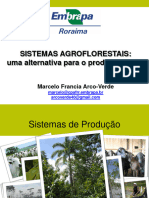 Alta Floresta2011