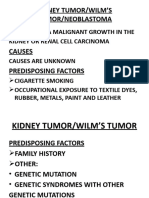 Kidney Tumor