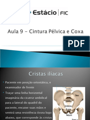 Cintura Escapular, PDF, Pélvis