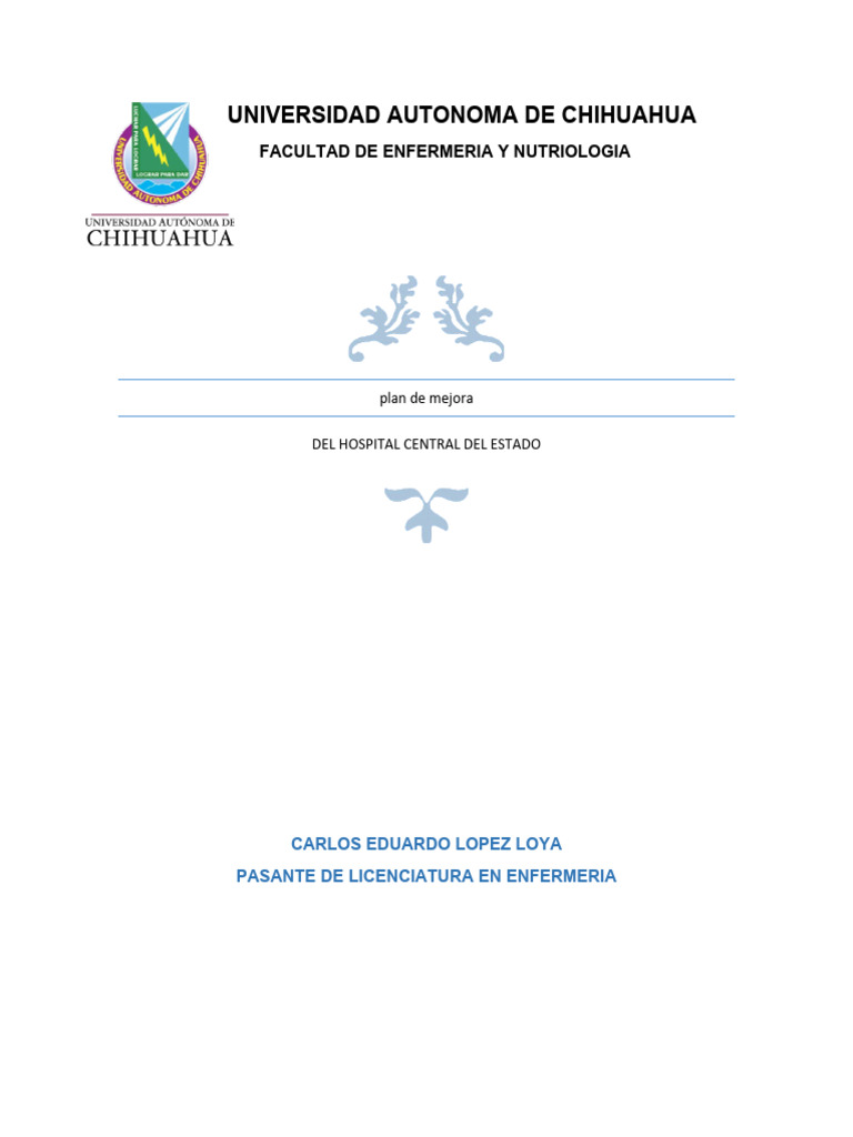PLAN DE MEJORA EJEMPLO | PDF | Hospital | Cuidado de la salud
