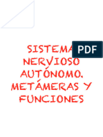 Sistema Nervioso Autónomo - Metameras y Funciones