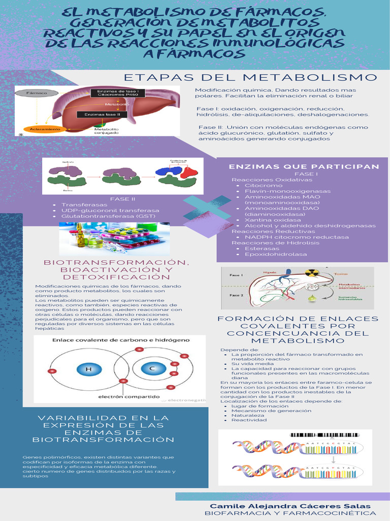 el-metabolismo-de-f-rmacos-generaci-n-de-metabolitos-reactivos-y-su