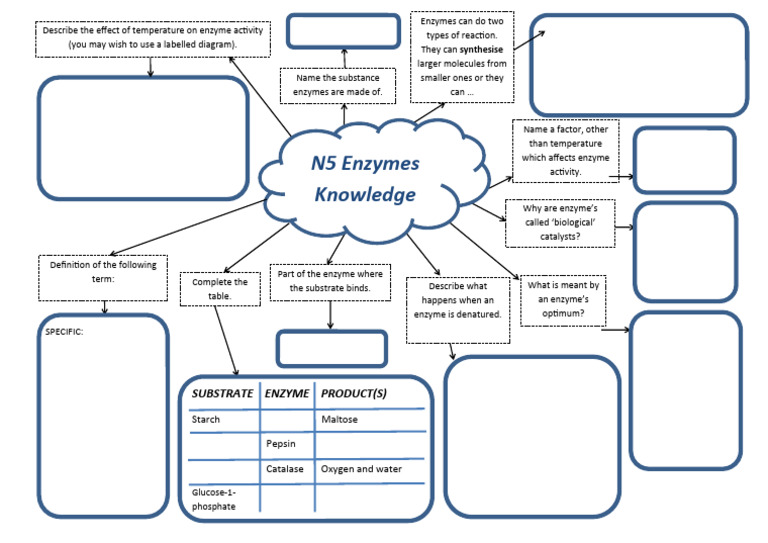 Enzymes Mind Map PDF Enzyme Molecular Biophysics