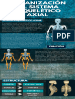 Infografía Sistema Esquelético Axial