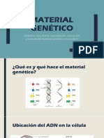 Cromosomas y ciclo celular