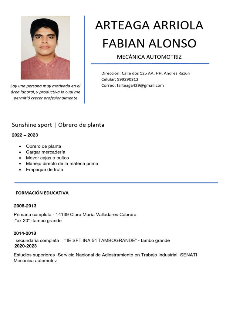 curriculum profesional ALONSO PDF