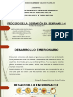 Proceso de La Gestación en Semanas 1-4: Colegio de Bachilleres de Tabasco Plantel 25