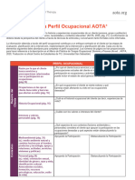 Plantilla Perfil Ocupacional AOTA 2020, Traducido
