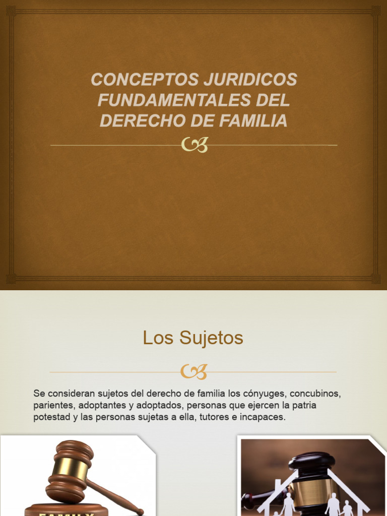Conceptos Juridicos Fundamentales Del Derecho de Familia 3 PDF Parentesco Matrimonio