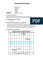 Informe DISC