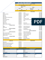 Formato Registro de Inspección de Vehículos Livianos y Pesados