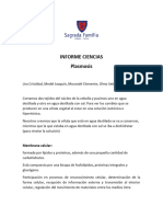 Informe Ciencias