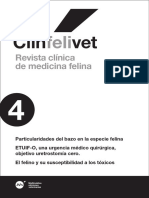 El Felino y Su Susceptibilidad A Los Tóxicos