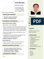 Cv. Documentado