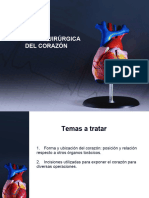 Anatomía Quirúrgica Cardíaca