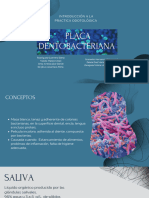 Placa Dentobacteriana