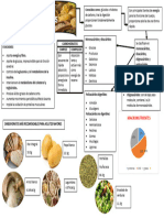 CARBOHIDRATOS