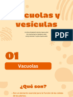 Vacuolas y Vesículas - 20231107 - 090035 - 0000