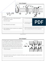 Active Transport Worksheet