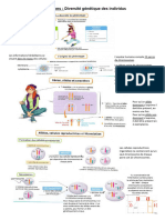 Fiche de Révisions en Génétique