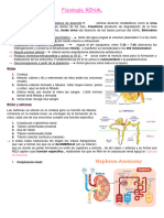 Fisiología RENAL