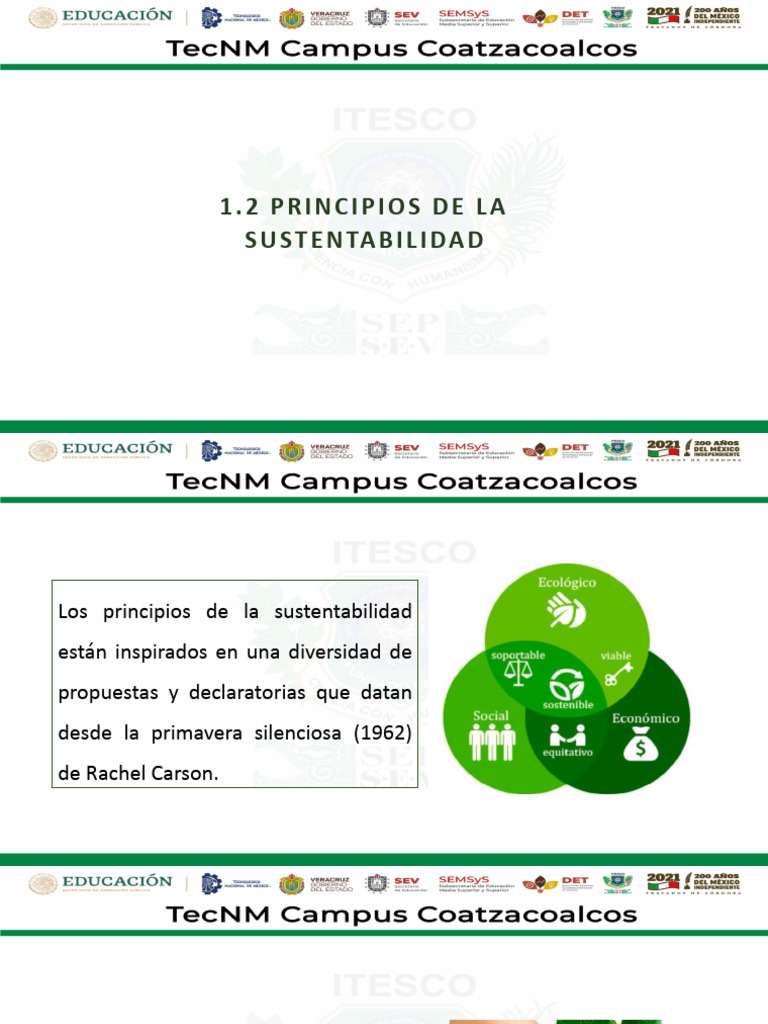 Principios de la Sustentabilidad | PDF | Naturaleza | Sustentabilidad
