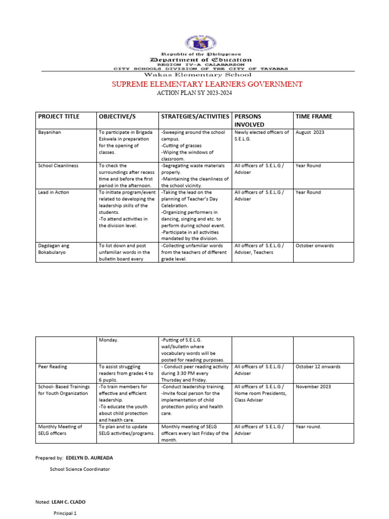Selg Actionplan Pdf Teachers Teaching