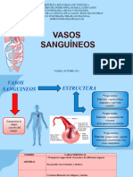 Presentacion de Sistema Circulatorio