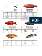 Katalog Ikan Tanpa Harga