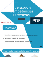 Liderazgo y Competencias Directivas - Práctica