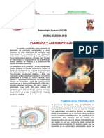 Humanasesion 06placenta y Membranas Fetales PDF