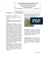 Relatório de Práticas 4 e 5 - Vinicius Almeida BRUM
