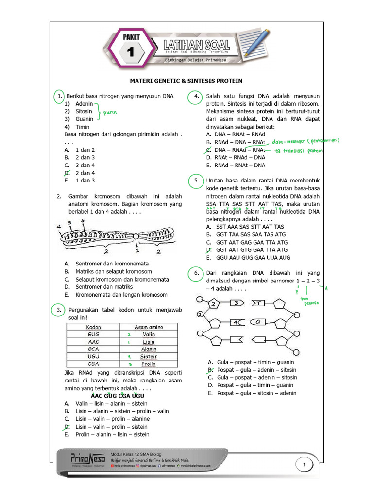 Materi Sintesis Protein dan Genetika | PDF