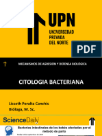 Sesión 2 Citología Bacteriana