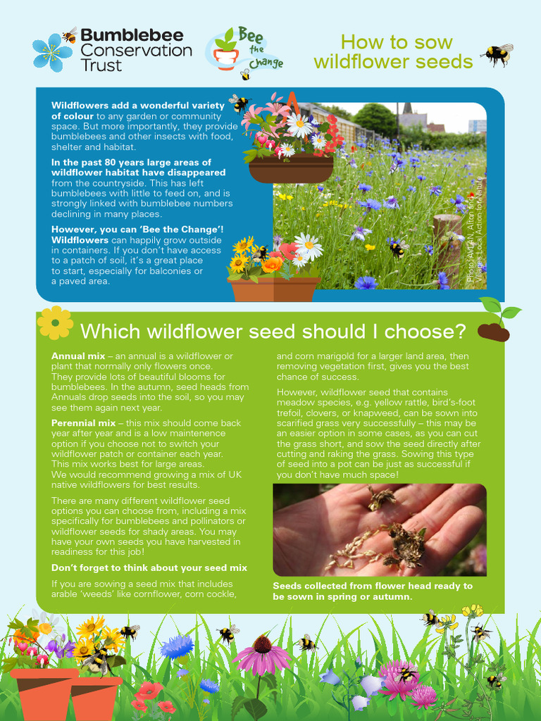 how-to-sow-wildflower-seeds-pdf-sowing-seed