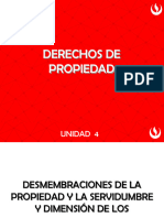 Derechos de Propiedad (Unidad 4)