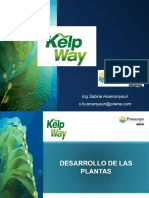 Kelpway (Aminoac. y Ac. Fulvicos en Pag. 14 y 15)