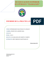 Informe #01