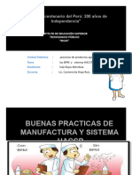 Buenas Practicas de Manufactura Sistema Haccp