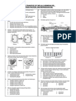 Transpor Zat, Sintesis Protein, Dan Pembelahan Sel