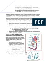 1 - Fundamentos