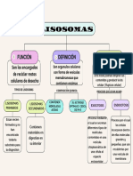 Mapa Mental de Los Lisosomas