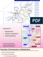 ICBI121 Lecture5 Metabolism