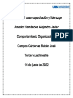 Copia de Amador - Alejandro - Capacitación - Lider