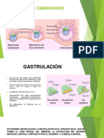 Origen Embrionario