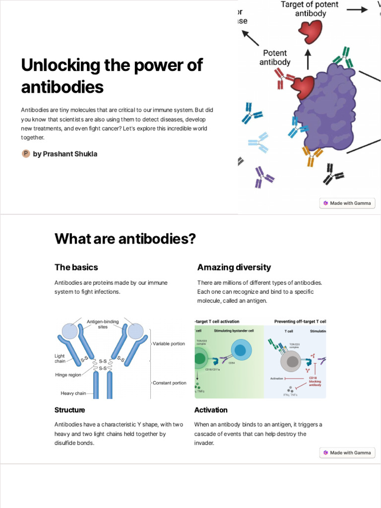 Unlocking The Power Of Antibody Labeling A Visual Guide - h0q6xf5