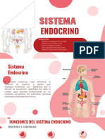 Sistema Endocrino Equipo 7